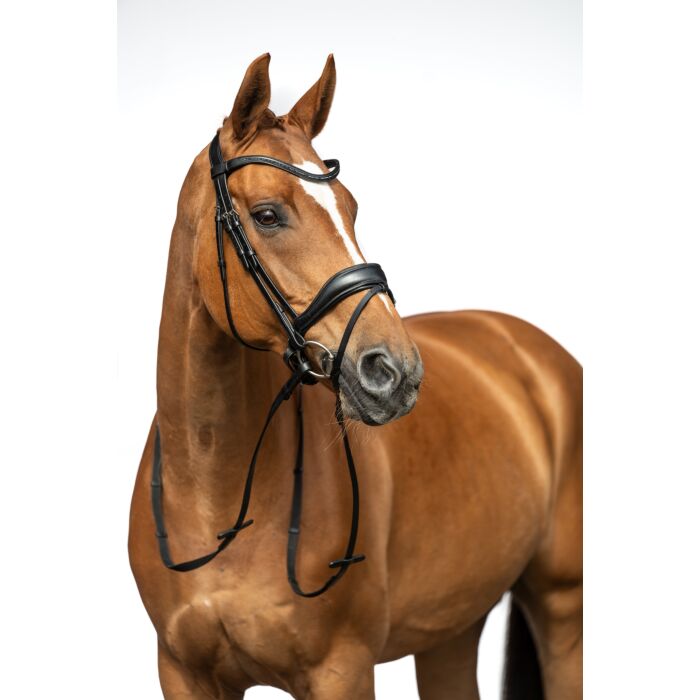 HKM Bridle - Ira